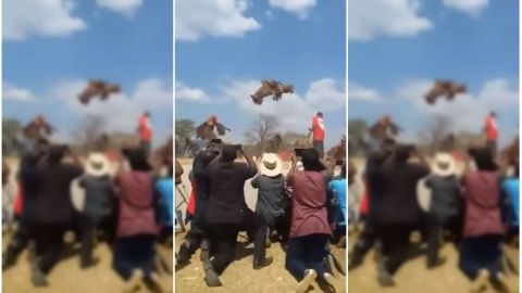 Al parecer, no había "truco" en el ritual.