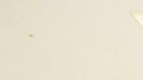 La creación de maletas eléctricas fue uno de los proyectos en los que estudiantes hispanos trabajaron durante el programa Solar Spotlight de ComEd.