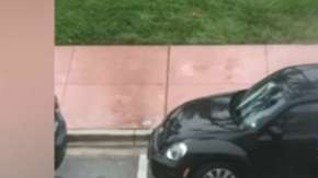 Los detenidos enfrentan acusasiones de conducta lasciva y exposición indecente.