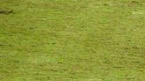 Carlos Jara Saguier y 'Tesapara' 'dirigiendo' juntos.