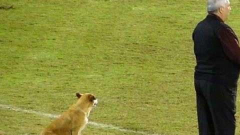 Carlos Jara Saguier y 'Tesapara' 'dirigiendo' juntos.