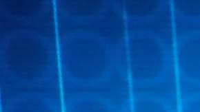 La familia Rivera en "Don Francisco Te Invita"