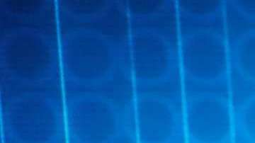 La familia Rivera en "Don Francisco Te Invita"