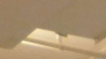 El Museo del Barrio reabre sus puertas.