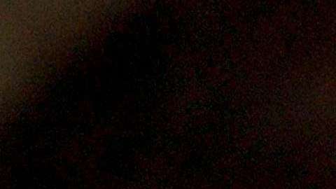 La mayoría de usuarios de la tarjeta EBT recibe $125 al mes.