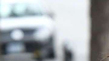 Eiza González en Beverly Hills.