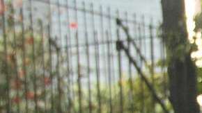 Eleazar Hernández, deportado de Wisconsin.