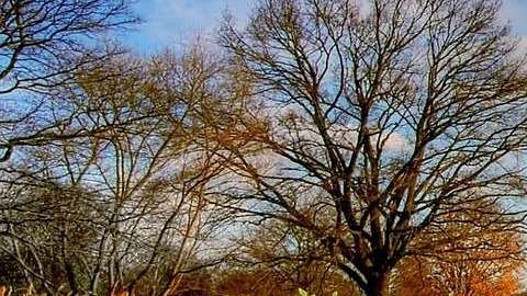 Una inversión que vale la pena