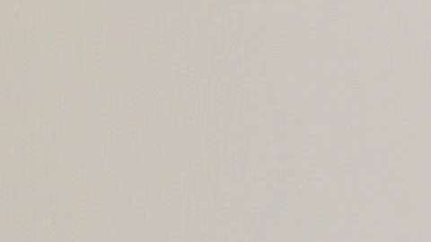 Elizabeth Gutiérrez.