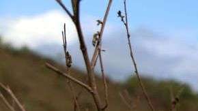 Fosas clandestinas descubiertas en Veracruz por iniciativa de familiares de desaparecidos.
