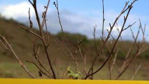 Fosas clandestinas descubiertas en Veracruz por iniciativa de familiares de desaparecidos.