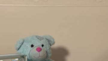 Laura Gallazzi busca presionar para cambie la legislación en Escocia y no se repitan casos como el suyo.