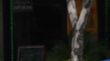 Justin Bieber se habría casado en secreto.