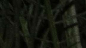 Manolo Caro en la fiesta de lanzamiento de La Casa de las Flores el 8 de agosto.