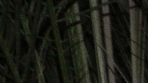 Manolo Caro en la fiesta de lanzamiento de La Casa de las Flores el 8 de agosto.