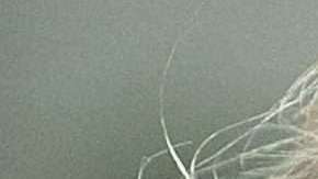 De mentir en su declaración Trump cometería perjurio