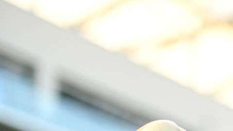 "Canelo" Alvarez busca un triunfo definitivo