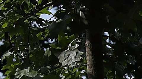 La Primera Dama en su evento del 27 de agosto.