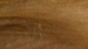 Trump criticó las investigaciones del 
 DOJ contra dos congresistas republicanos