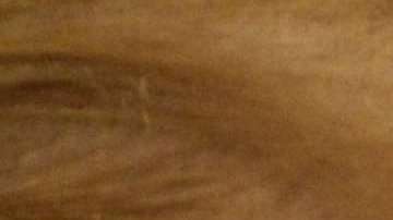 Trump criticó las investigaciones del 
 DOJ contra dos congresistas republicanos