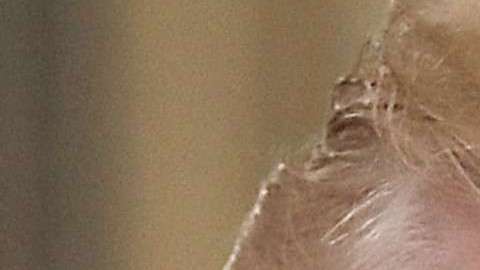 Debora Ramírez asegura que también sufrió acoso sexual por parte de Brett Kavanaugh