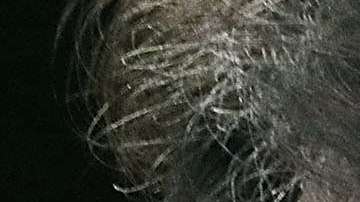 El 20 de septiembre, el Comité Judicial del Senado decidirá sobre Kavanaugh.