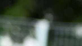 Hailey Baldwin y Justin Bieber.