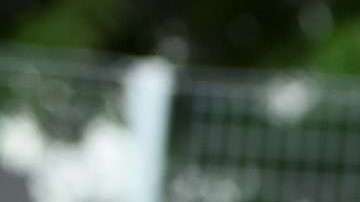 Hailey Baldwin y Justin Bieber.