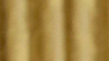 El presidente Trump habló del huracán Florence.