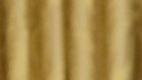 El presidente Trump habló del huracán Florence.