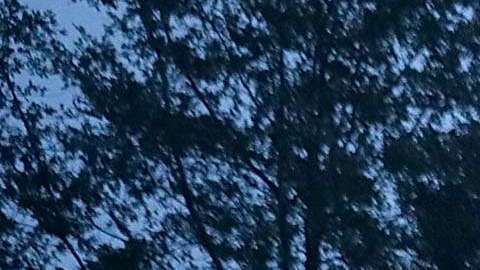 El río Trent se desborda en River Bend, Carolina del Norte.