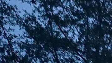 El Trent se desborda en River Bend, Carolina del Norte