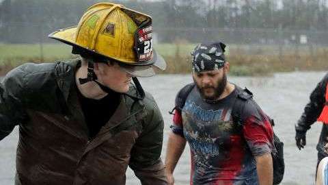 Es común que durante un huracán, salgan animales de su hábitat natural.