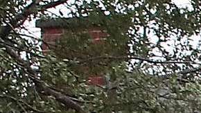 Árboles por el huracán Florence en Wilmington, Carolina del Norte.