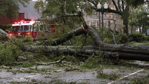 Árboles por el huracán Florence en Wilmington, Carolina del Norte.