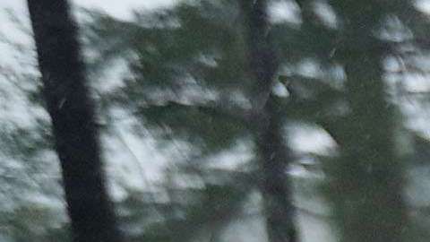 Florence ha dejado sin electricidad a más de 800,000 hogares