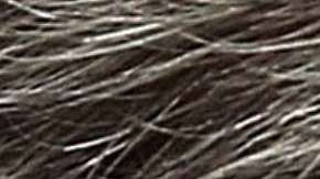 Manafort, Flynn, Cohen y Gates podrían llevar a la caída de Trump