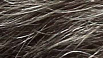 Manafort, Flynn, Cohen y Gates podrían llevar a la caída de Trump