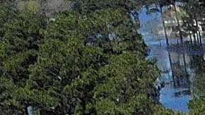 Las inundaciones aíslan a vecindarios en Carolina del Norte.