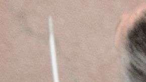 Al menos un par de decenas de activistas fueron detenidos en el Senado.