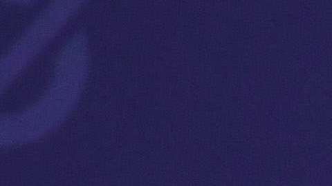 La comentarista de Fox, Tomi Lahren arremetió contra Michelle por alabar a su esposo