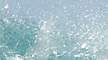 Esta es la primera víctima fatal por el ataque de un tiburón en Massachusetts desde 1936