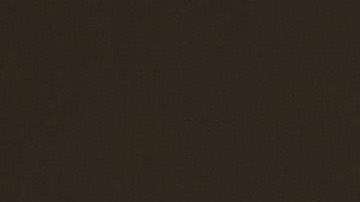 Las visitas son realizadas por personal de USCIS.