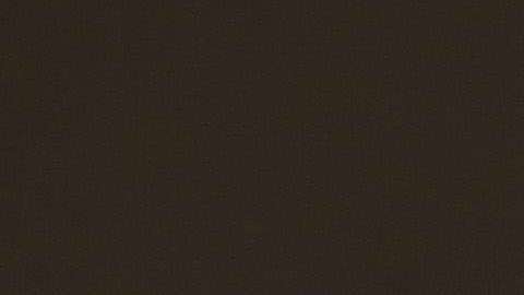 Las visitas son realizadas por personal de USCIS.