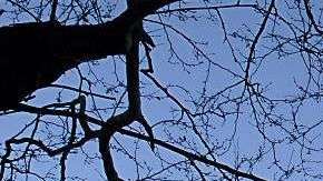 Sede de la ONU en Manhattan