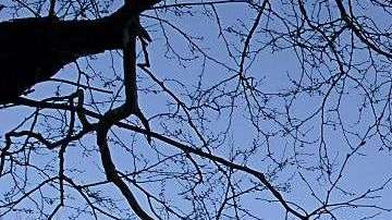 Sede de la ONU en Manhattan