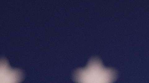 Obama ofreció un combativo discurso contra Trump, e instó a los demócratas a votar en noviembre.