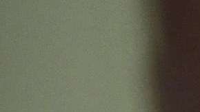 Paul Gosar acusó a sus hermanos de no importarles la familia.