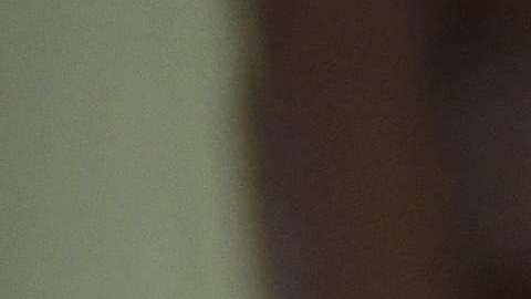 Paul Gosar acusó a sus hermanos de no importarles la familia.