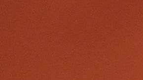 Los cachorros desfilaron cargados por sus entrenadoras.